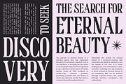 Benida Blur, a Serif Font by Craft Supply Co. (Thumbnail 4 of 8)