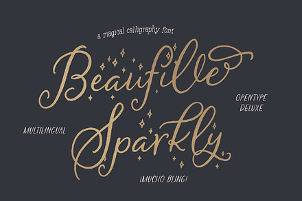 Beaufille Sparkly, a Script Font by KLUGE+CO