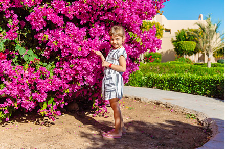 photo with a bush of flowers in, a Person Photo by yanadjana