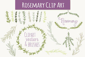 Rosemary Clip Art & Vectors