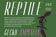 Aguero Sans Rough, a Sans Serif Font by Craft Supply Co. (Thumbnail 6 of 8)