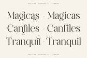 Ragiften Modern Serif Font, a Serif Font by Letterena Studios (Thumbnail 2 of 15)