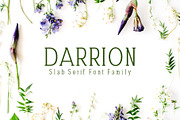 Darrion Slab Serif Font Family, a Slab Serif Font by Creativetacos (Thumbnail 1 of 4)