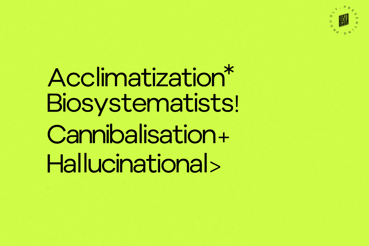 Grit, a Sans Serif Font by Dipto design (Photo 4 of 9)