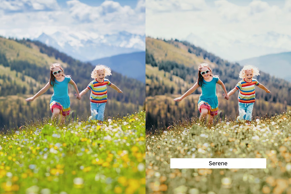 20 Meadow Lightroom Presets and LUTs, a Preset Add-On by Hubzway (Photo 3 of 10)