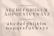 Clover - Modern Serif Logo Font, a Serif Font by Sensatype (Thumbnail 10 of 12)