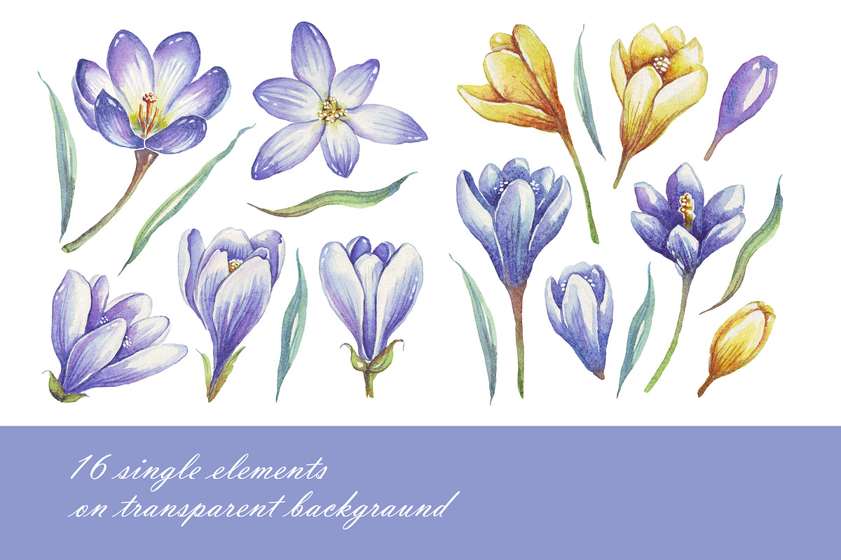 Spring flowers bundle PNG + patterns, an Illustration by Alena Kurian (Photo 3 of 10)