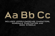 Broadwell Distressed Font, a Sans Serif Font by Parker Creative (Thumbnail 5 of 6)
