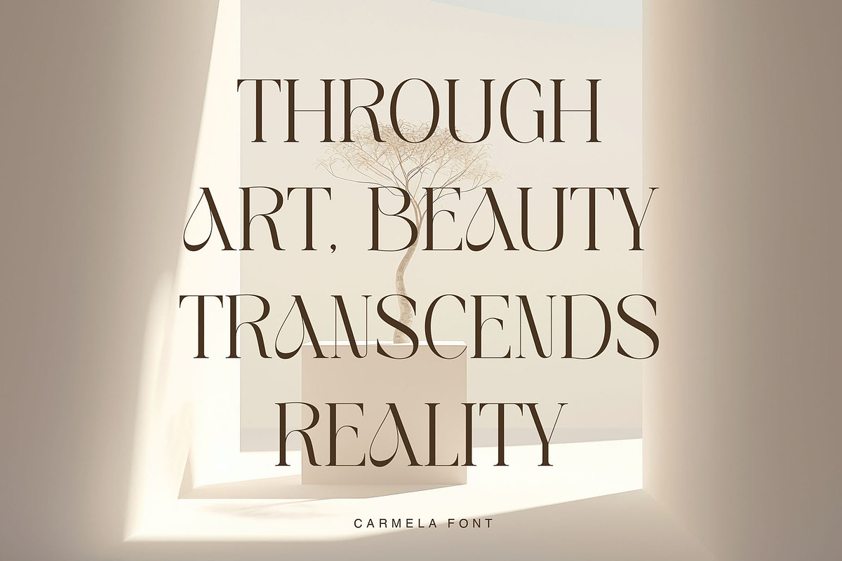 Carmela-Modern and elegant typeface, a Serif Font by ToniStudio (Photo 2 of 10)