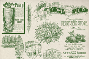 Vintage Garden & Seeds Brushes Set