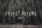 Forest Dreams, a Serif Font by Nomad Stockpile (Thumbnail 1 of 4)