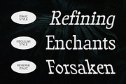 CS Denton – Flat Brush Font, a Serif Font by Craft Supply Co. (Thumbnail 2 of 8)
