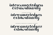 Wildwritten - Handwritten Script, a Script Font by Only Fonts (Thumbnail 10 of 15)