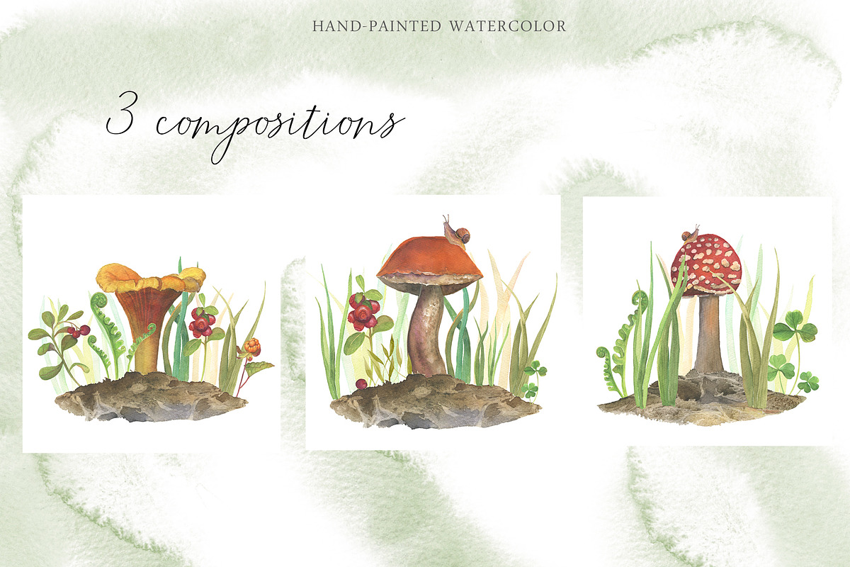 Watercolor: set of forest elements, a Graphic by WatercolorAnn (Photo 12 of 13)