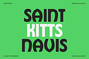 Fleur Porta | Display Sans, a Sans Serif Font by Jolicia Type (Thumbnail 3 of 14)