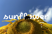 GeoScript, a Handwritten Font by Par Défaut (Thumbnail 8 of 8)