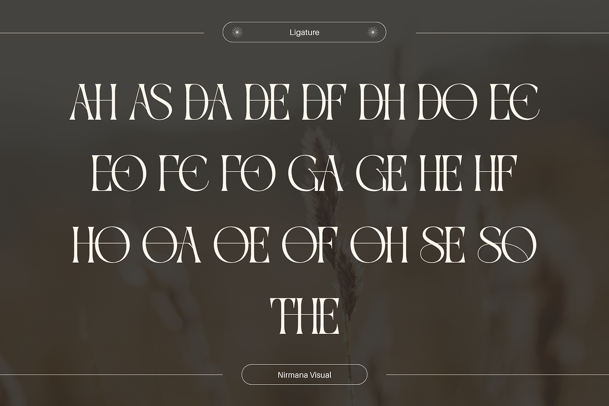 Gavona Elegant - Modern Logo Font, a Serif Font by Nirmana Visual (Photo 7 of 15)