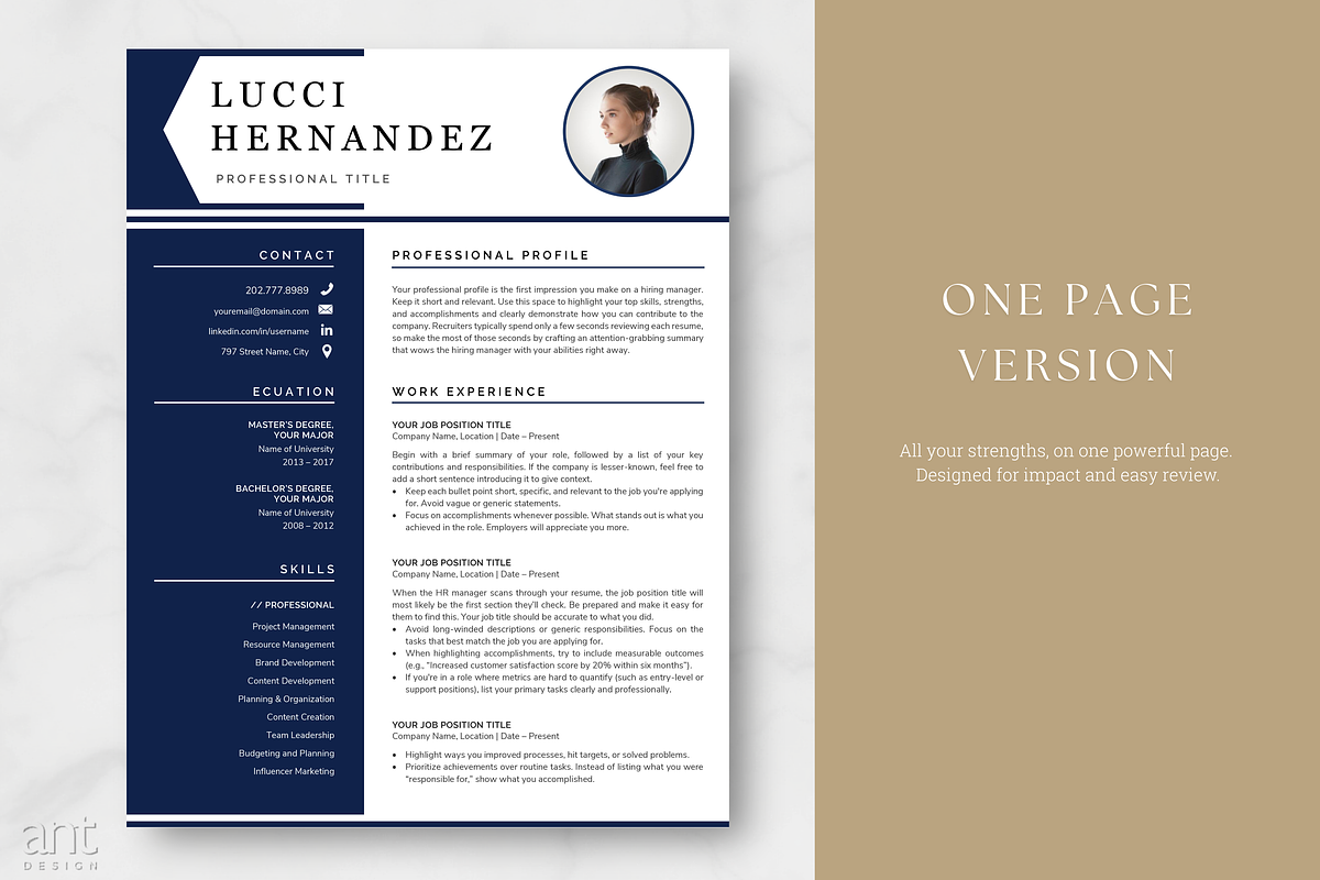 Modern Resume Template - The Lucci preview 2