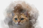 Watercolor Animal Art Photo Effect, an Action Add-On by MRI STUDIO (Thumbnail 16 of 16)