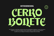 Cerro Bonete, a Sans Serif Font by Damelev (Thumbnail 1 of 11)