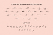 Vallenitta | beautiful script font, a Script Font by Lightsense (Thumbnail 9 of 10)