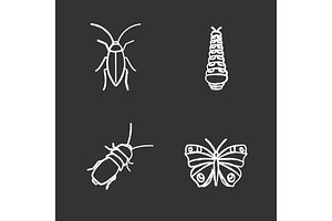 Insects Chalk Icons Set