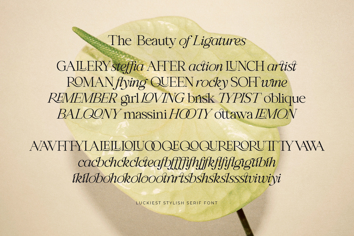 Luckiest | Stylish Serif Font, a Serif Font by Krismagraph (Photo 15 of 16)