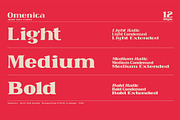 Omenica - Serif font Family, a Serif Font by Artistic & Unique (Thumbnail 2 of 12)