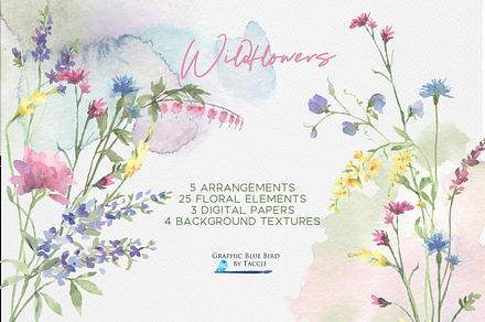 Wildflowers and Watercolor Textures