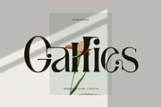 Gallies Ligature Serif Typeface, a Serif Font by Humaira_std (Thumbnail 1 of 9)