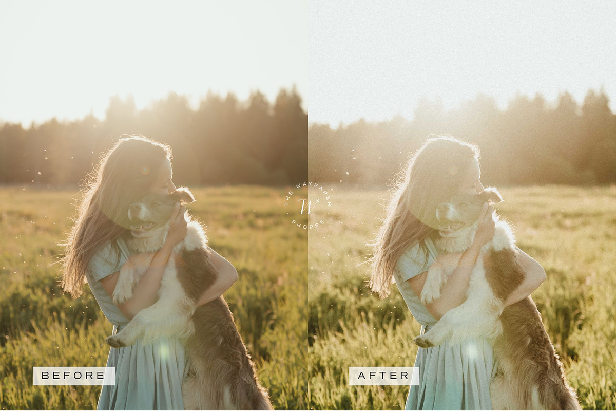 5 Warm Golden Lightroom Presets, a Preset Add-On by TheWayfarerShoppe (Photo 6 of 17)
