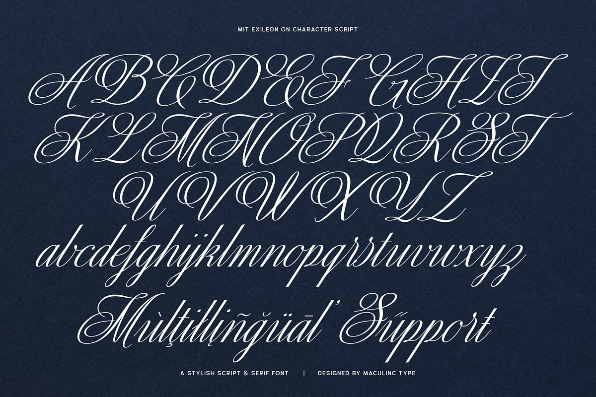 MIT Exileon - Script&Serif font duo, a Serif Font by Maculinc Type (Photo 16 of 16)