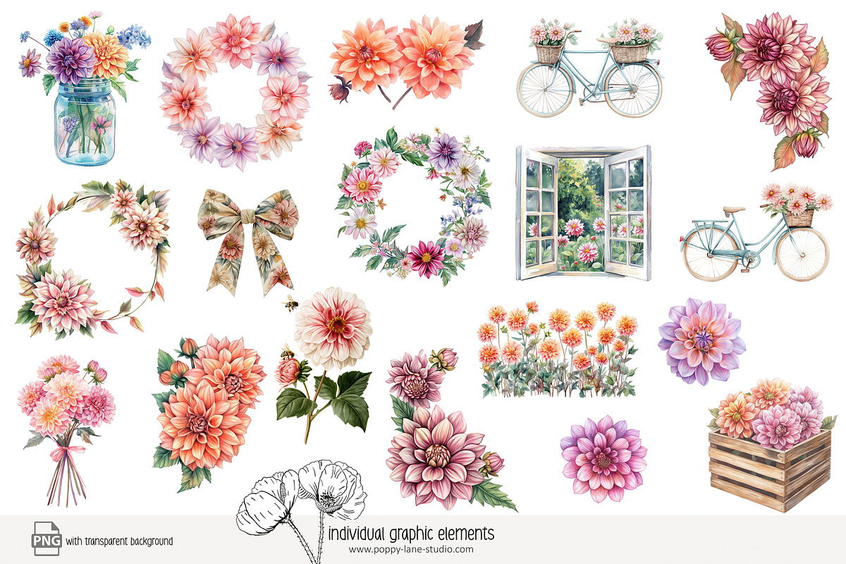 100 watercolour dahlia clip art, a Seasonal Illustration by Poppy Lane Studio (Photo 2 of 12)
