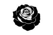 50 Black Rose Silhouette Vector Bund, an Illustration by Gaye Art (Thumbnail 12 of 51)