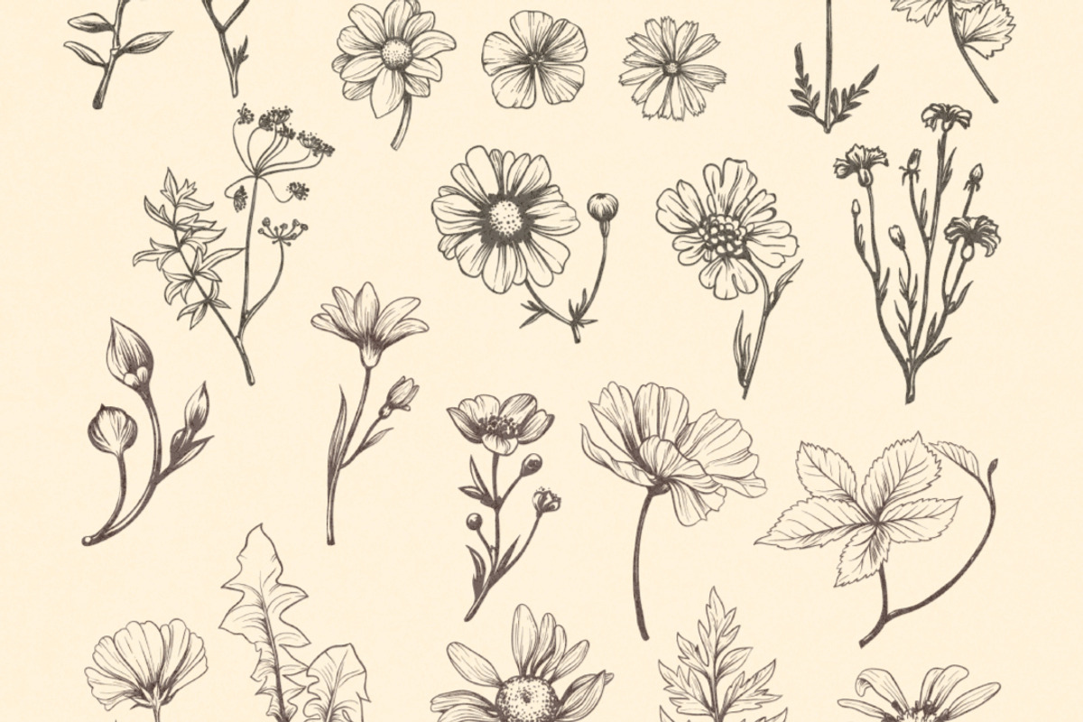 Vintage Bundle- 250 vector elements, an Object Graphic by TatianaCociorva (Photo 5 of 19)