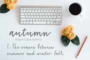 Harvest Grey, a Script Font by Lone Star Lettering (Thumbnail 3 of 10)
