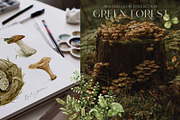 GREEN FOREST watercolor collection, an Object Illustration by long summer (Thumbnail 12 of 17)