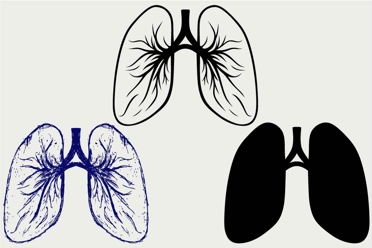 Human lungs SVG, an Outline Icon by LineworkStock