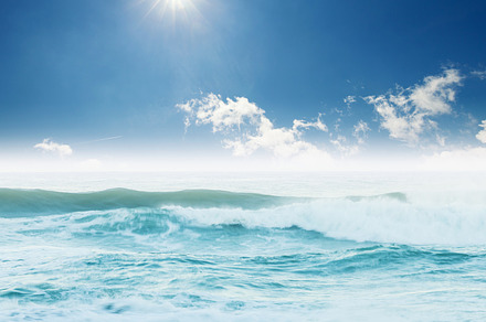 Beach featuring wave, waves, and florida, a Nature Photo by khoroshkov