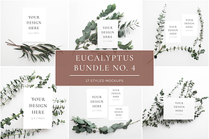 Eucalyptus Bundle No. 4