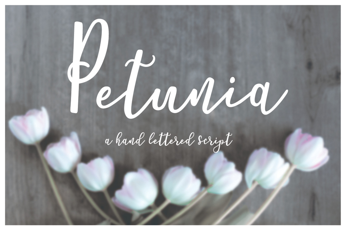 Petunia Script