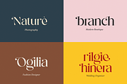 Sugar Magic Serif - 9 Font Family, a Serif Font by zeenesia (Thumbnail 13 of 26)