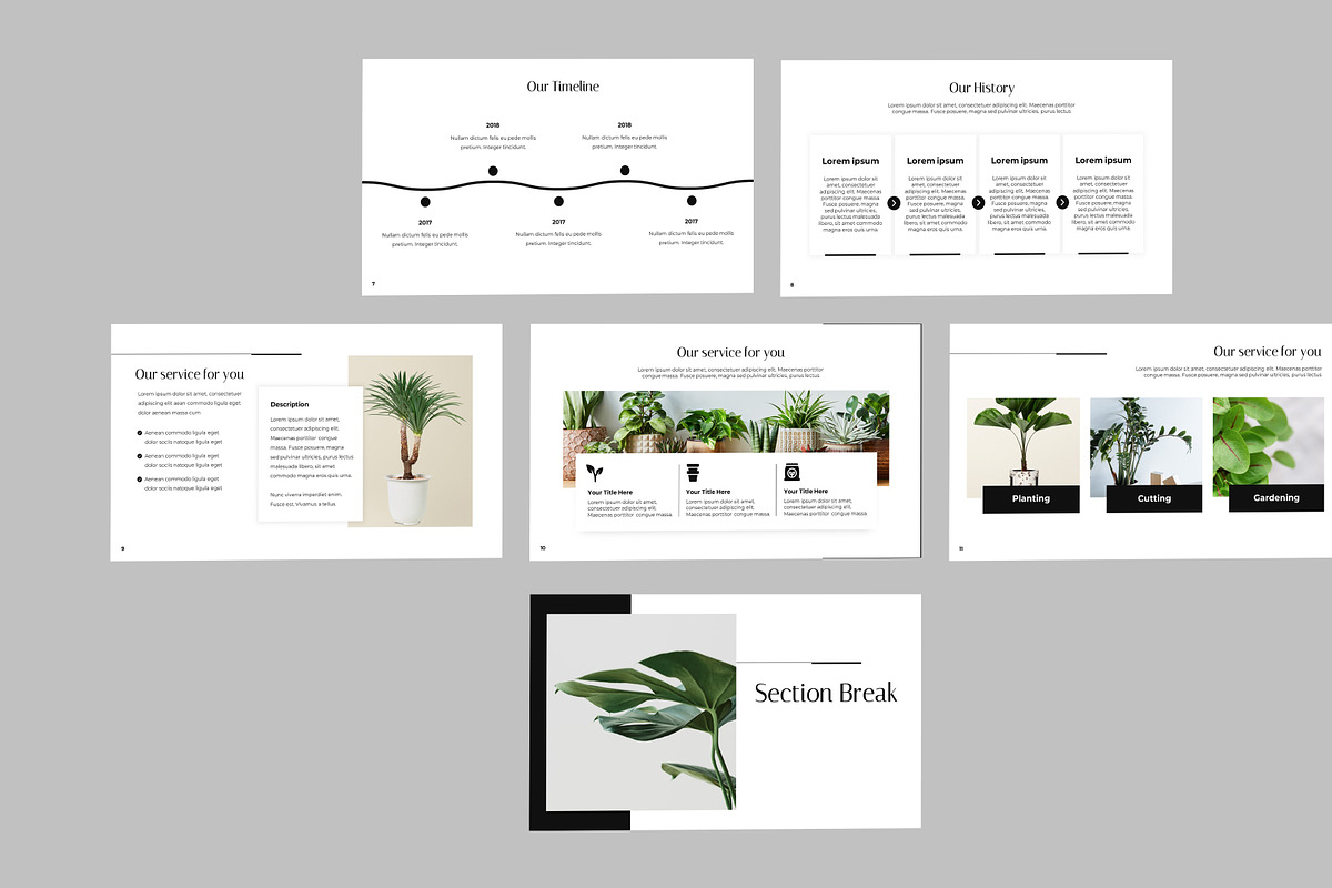 House Plant Presentation, a Presentation Template by Recreative (Photo 3 of 6)