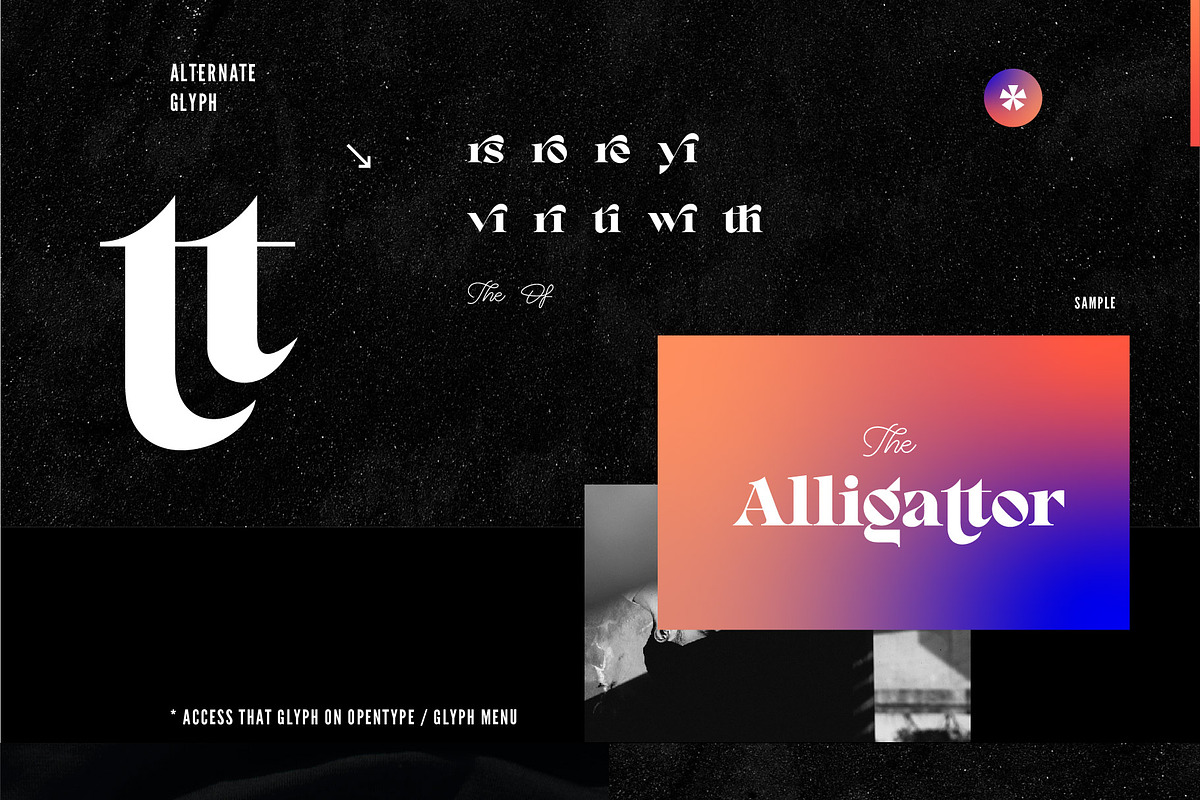 RF Lourney Serif Display + Extra, a Serif Font by Unfutur Labs (Photo 7 of 10)