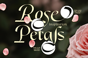 Dh Alani Rosle - 16 Branding Family, a Serif Font by Dharmas Foundry (Thumbnail 2 of 15)