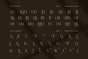 Sikor Luxury Swash Serif Font, a Serif Font by Perfectype (Thumbnail 8 of 8)