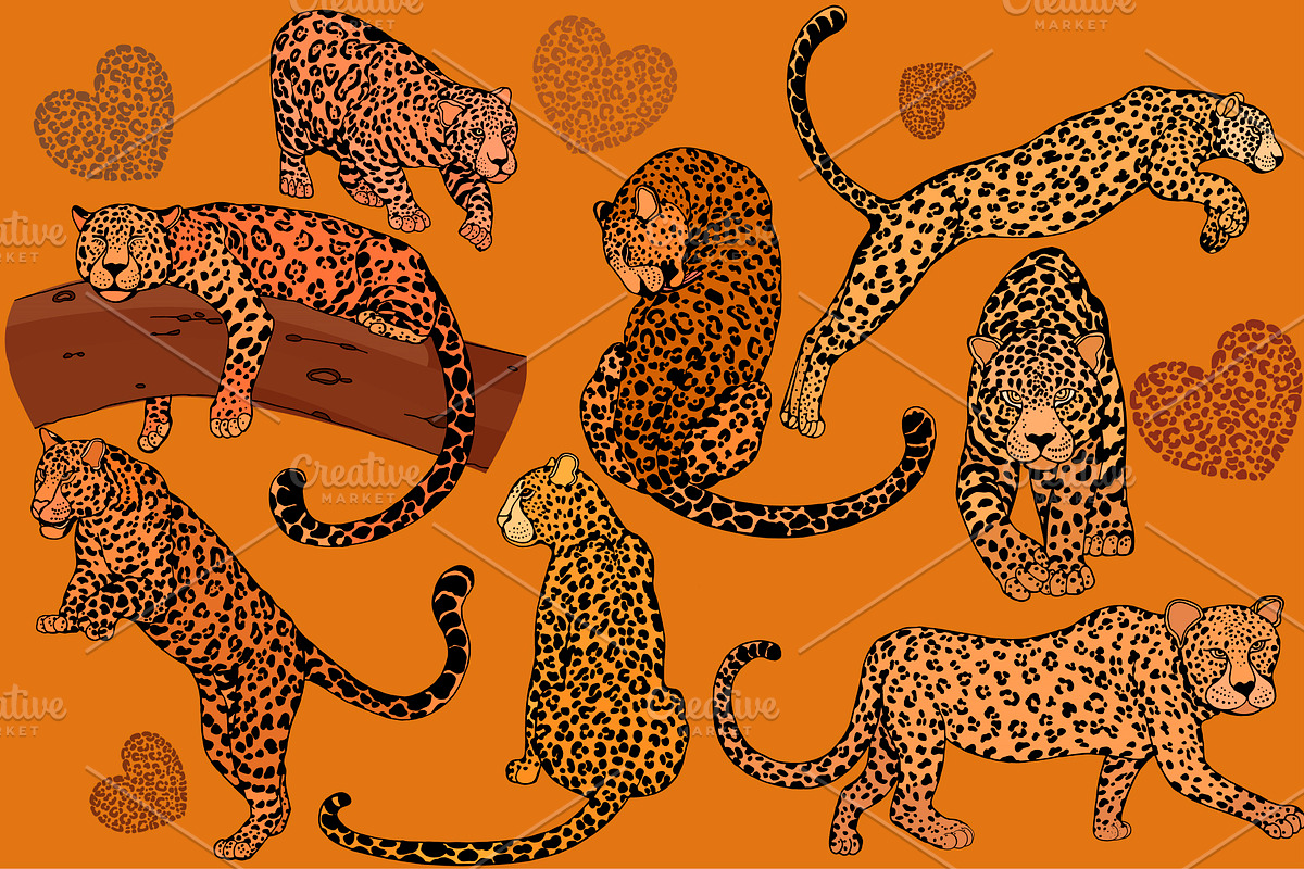 Leopards 2, an Animal Illustration by Ecaterina Sciuchina (Photo 1 of 4)