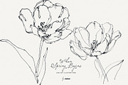 When Spring Begins: Line Art, a Seasonal Illustration by Purple (Thumbnail 6 of 15)