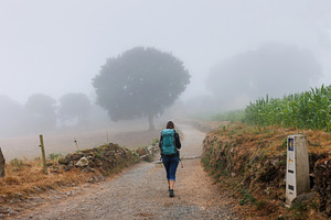 Pilgrim Walking on Foggy Camino de Santiago Trail, Galicia, Spai