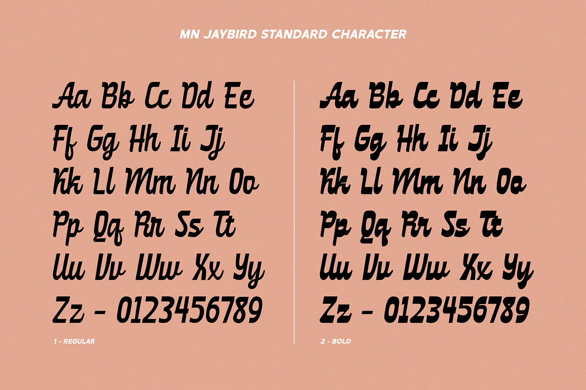 MN Jaybird - Bold Retro Script Font, a Script Font by Mantra Naga (Photo 6 of 18)